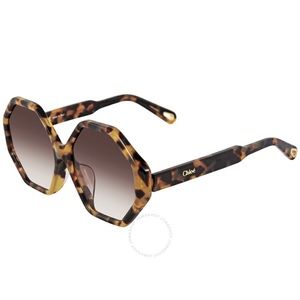 CHLOÉ WILLOW HEXAGON-FRAME TORTOISESHELL ACETATE SUNGLASSES
